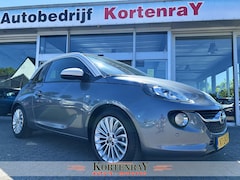 Opel ADAM - 1.0 Turbo Glam Favourite slechts 12, 345 km gereden, vol met de juiste opties