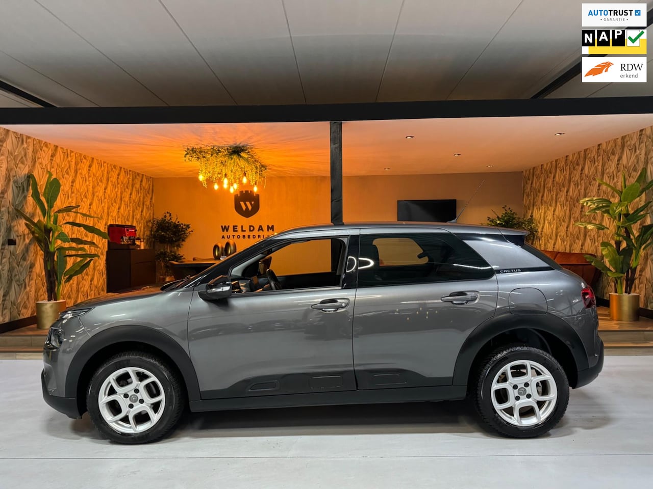 Citroën C4 Cactus - 1.2 PureTech Shine Garantie CarPlay Cruise Clima Navi Led DAB Parkeerhulp Rijklaar - AutoWereld.nl