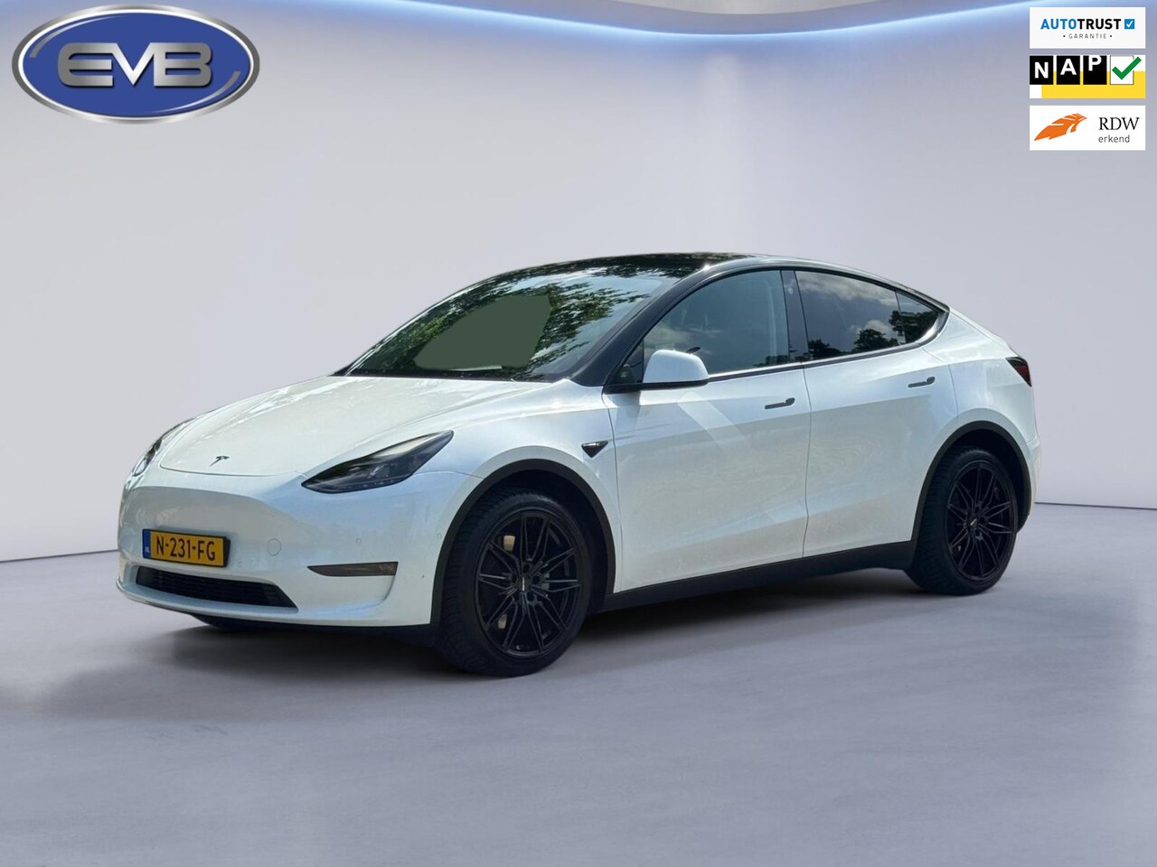 Tesla Model Y - Long Range AWD 75 kWh Black line, 20 inch, panoramadak, leder, Nederlandse auto met nation - AutoWereld.nl