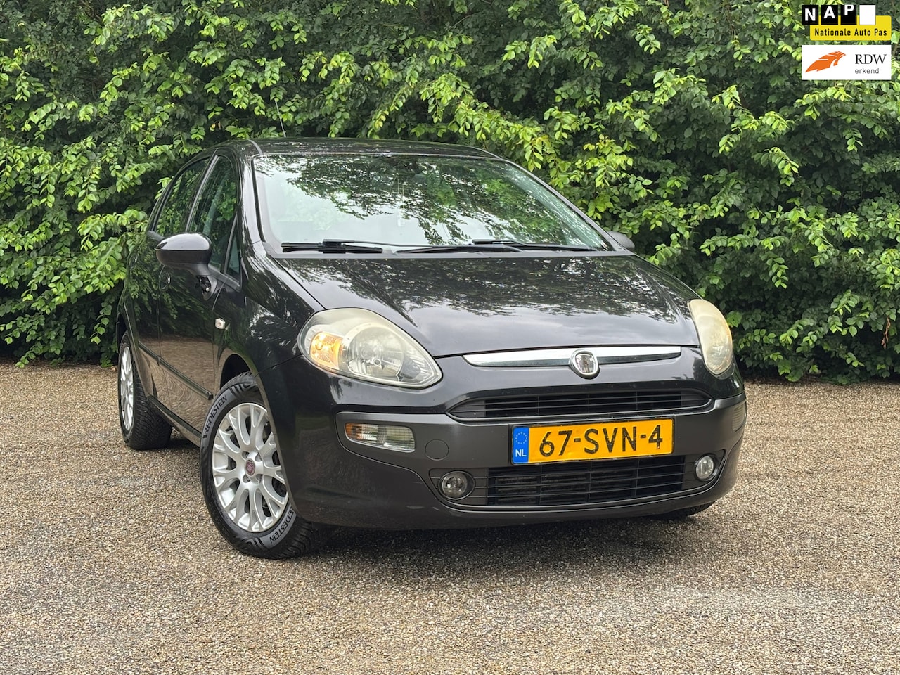 Fiat Punto Evo - 1.3 M-Jet Active | 1e Eigenaar + Cruise control | - AutoWereld.nl