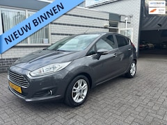 Ford Fiesta - 1.0 EcoBoost Titanium VERKEER IN NIEUWSTAAT