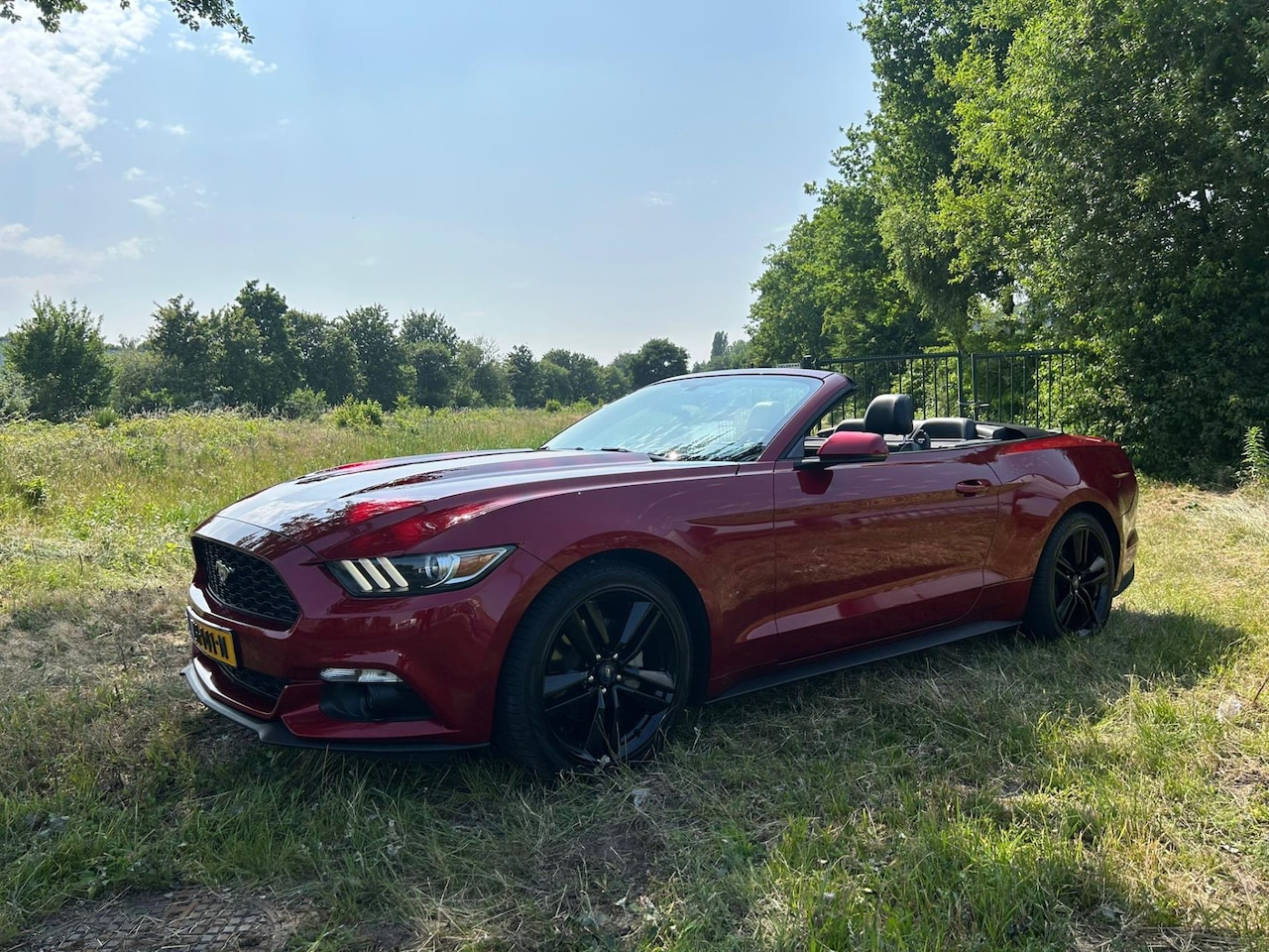 Ford Mustang Convertible - 2.3 automaat, 315 PK, zeer mooie staat auto. - AutoWereld.nl