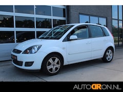Ford Fiesta - 1.3 8V Futura 5 Drs Airco