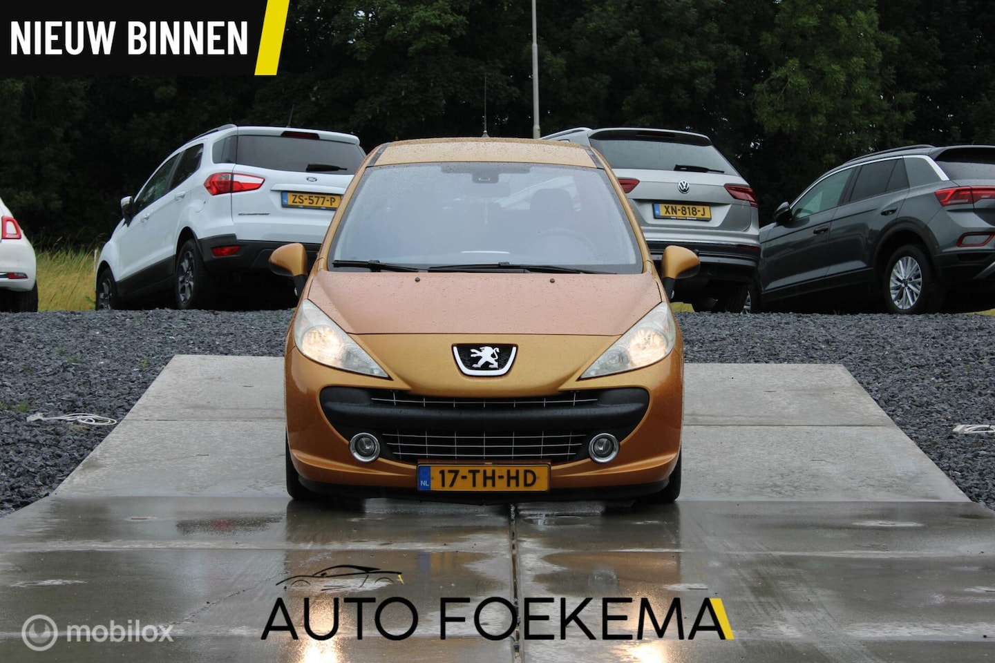 Peugeot 207 - 1.4-16V XS Pack INRUILKOOPJE AIRCO LMV - AutoWereld.nl