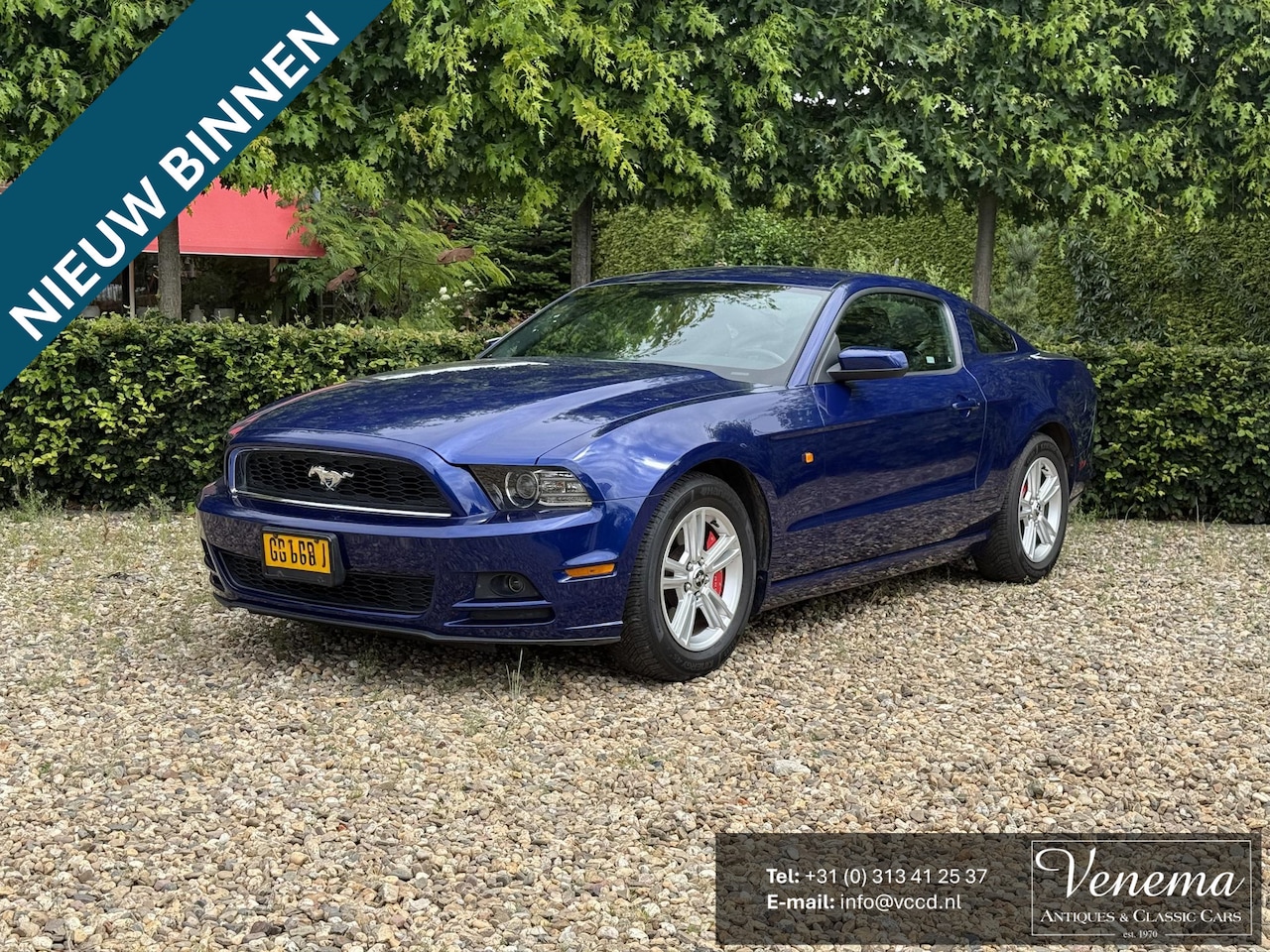 Ford Mustang - USA 3.7 V6 - AutoWereld.nl