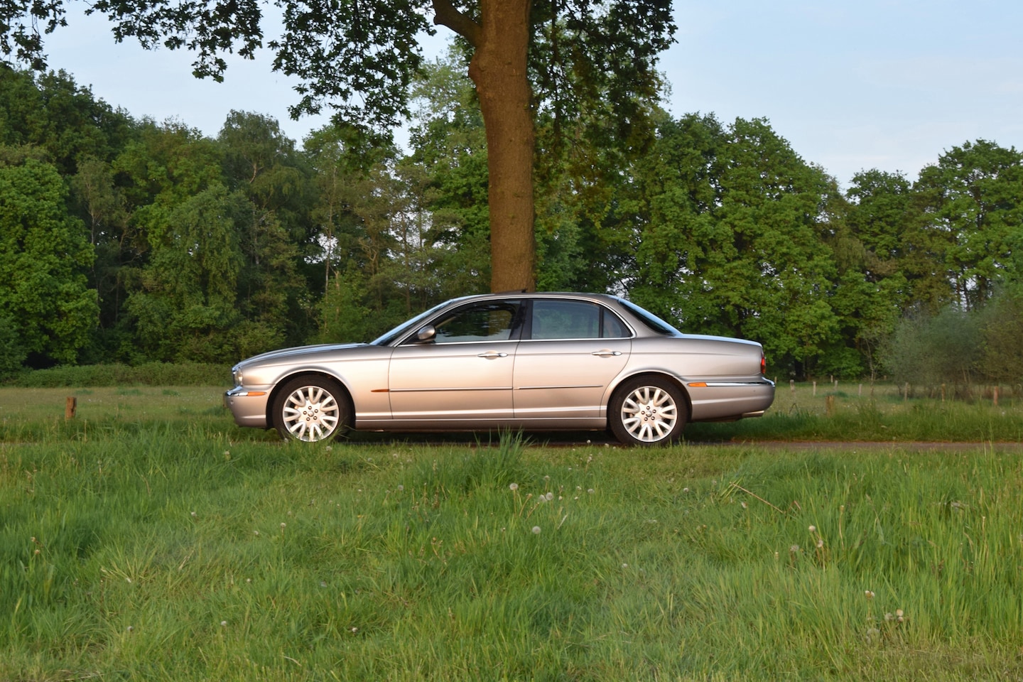 Jaguar XJ - 3.0 V6 Executive - Platinum Silver – 167.777km – Y2003 - AutoWereld.nl