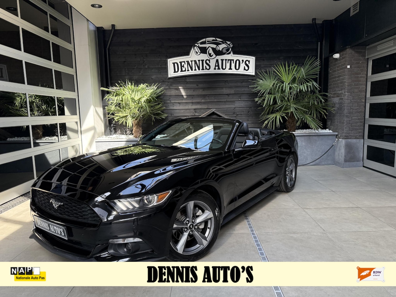 Ford Mustang - USA 3.7 V6 UNIEK IN NEDERLAND !!! - AutoWereld.nl
