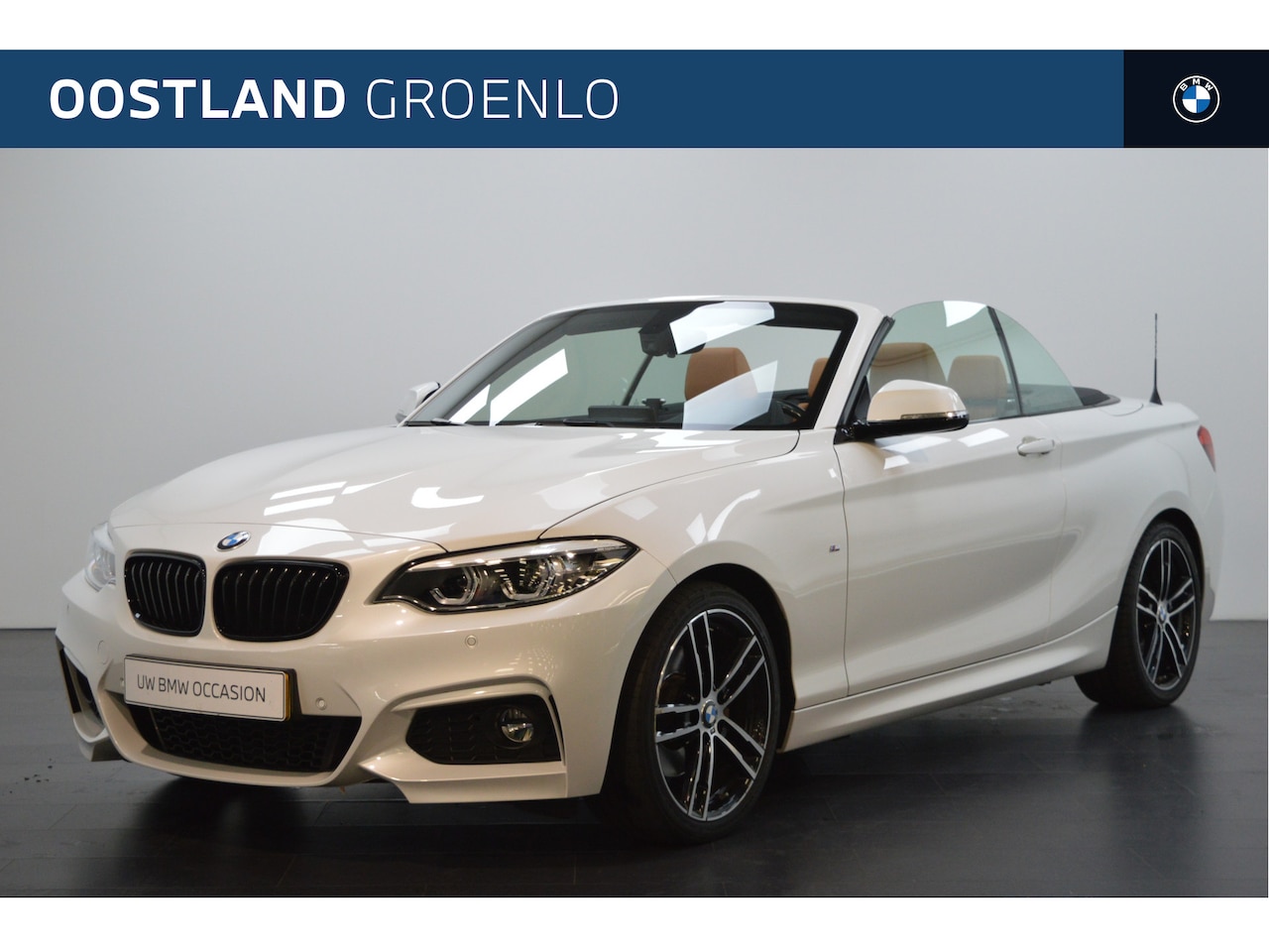 BMW 2-serie Cabrio - 220i High Executive M Sport Automaat / Sportstoelen / M Sportonderstel / Stoelverwarming / - AutoWereld.nl