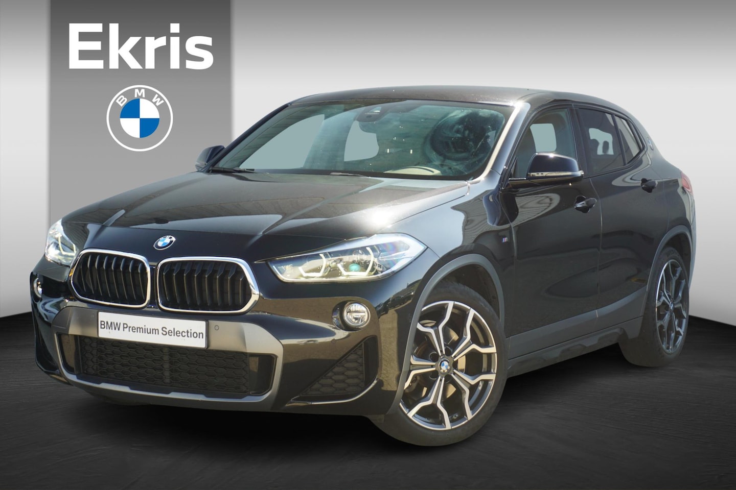 BMW X2 - sDrive20i M Sportpakket X 19'' / Trekhaak / Driving Assistant / HiFi System - AutoWereld.nl
