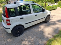 Fiat Panda - 1.2 Edizione Cool