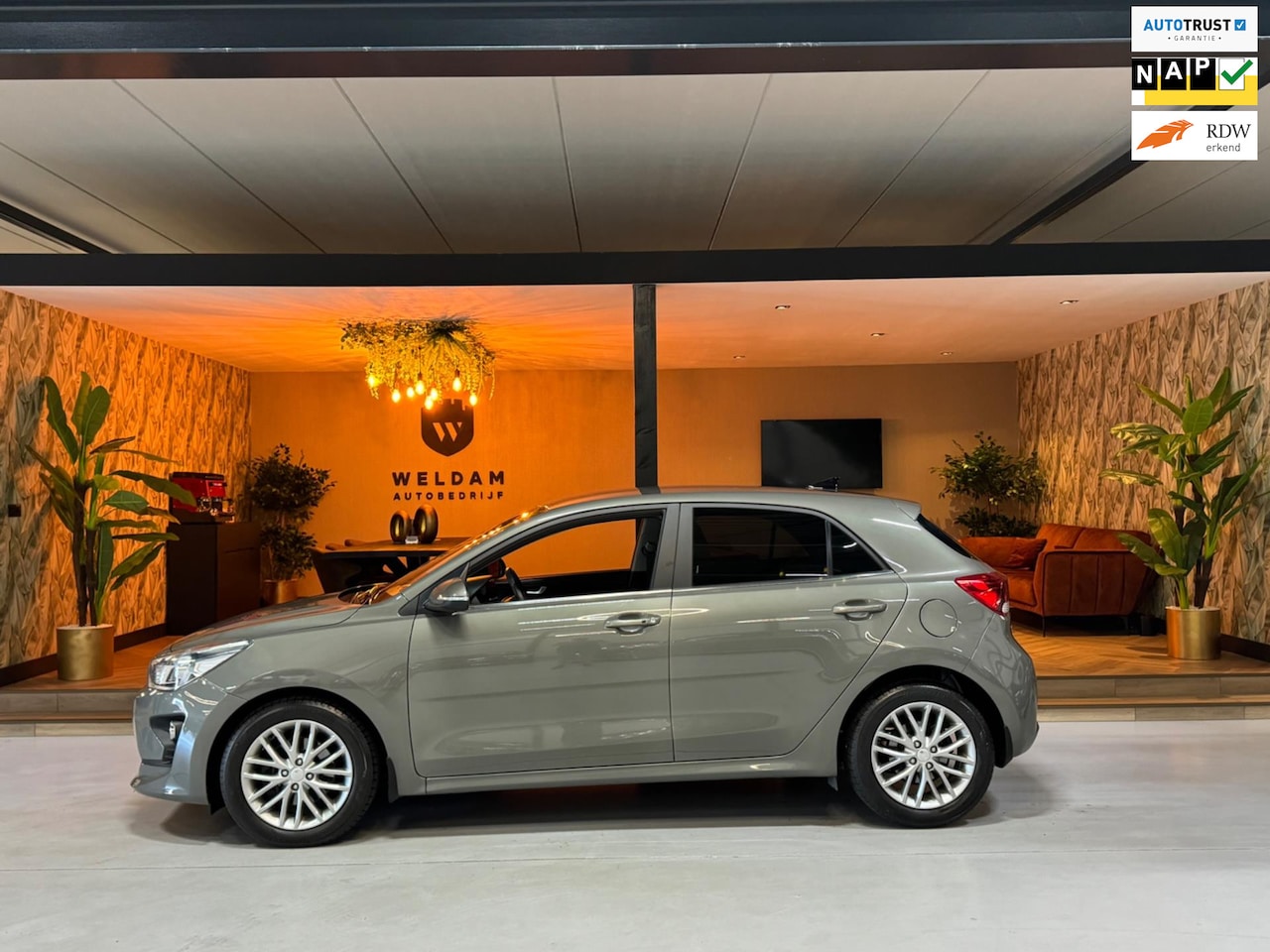 Kia Rio - 1.0 T-GDi MHEV DynamicPlusLine 7JR Fabrieksgarantie Camera CarPlay StuurVW StoelVW Lane Bl - AutoWereld.nl