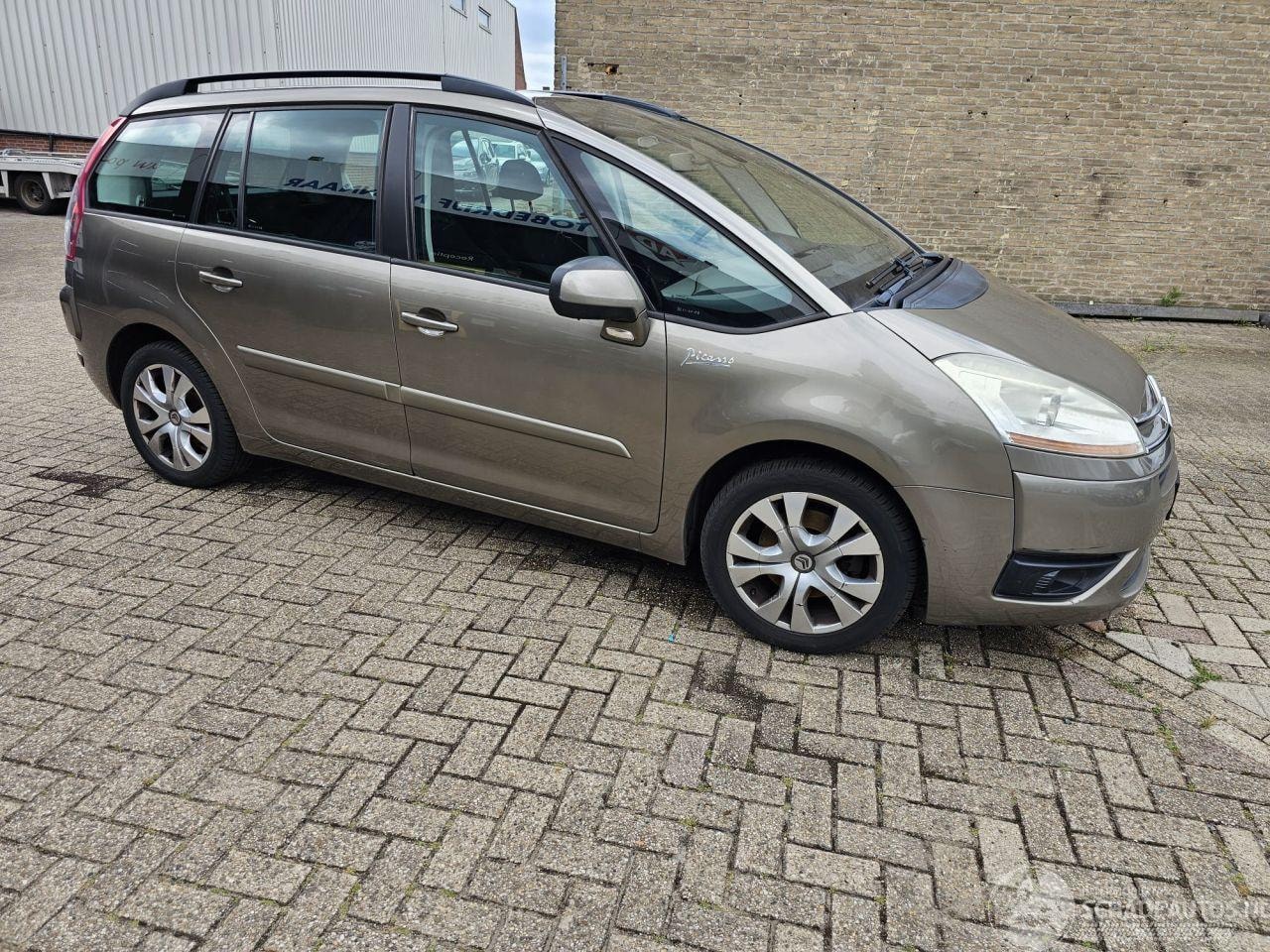 Citroën C4 Picasso - 2.0-16V Business EB6V 7p - AutoWereld.nl