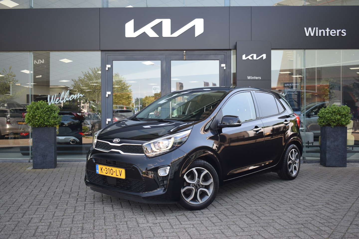 Kia Picanto - 1.0 DPi DynamicPlusLine 5-Drs | Climate Contro | Cruise Control | Navigatie | Camera | Key - AutoWereld.nl