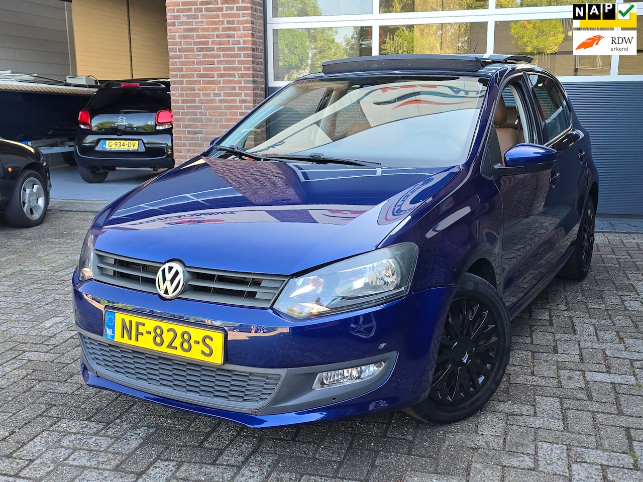 Volkswagen Polo - 1.2-12V BlueMotion Comfortline Panoramadak|Clima |Leer |Navi - AutoWereld.nl
