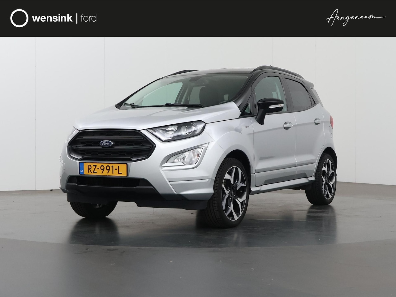 Ford EcoSport - 1.0 EcoBoost ST-Line | Trekhaak | Navigatie | Winterpakket | Carplay | DAB | Climate Contr - AutoWereld.nl