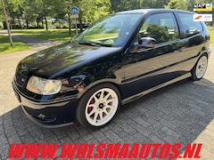 Volkswagen Polo - 1.6-16V GTI