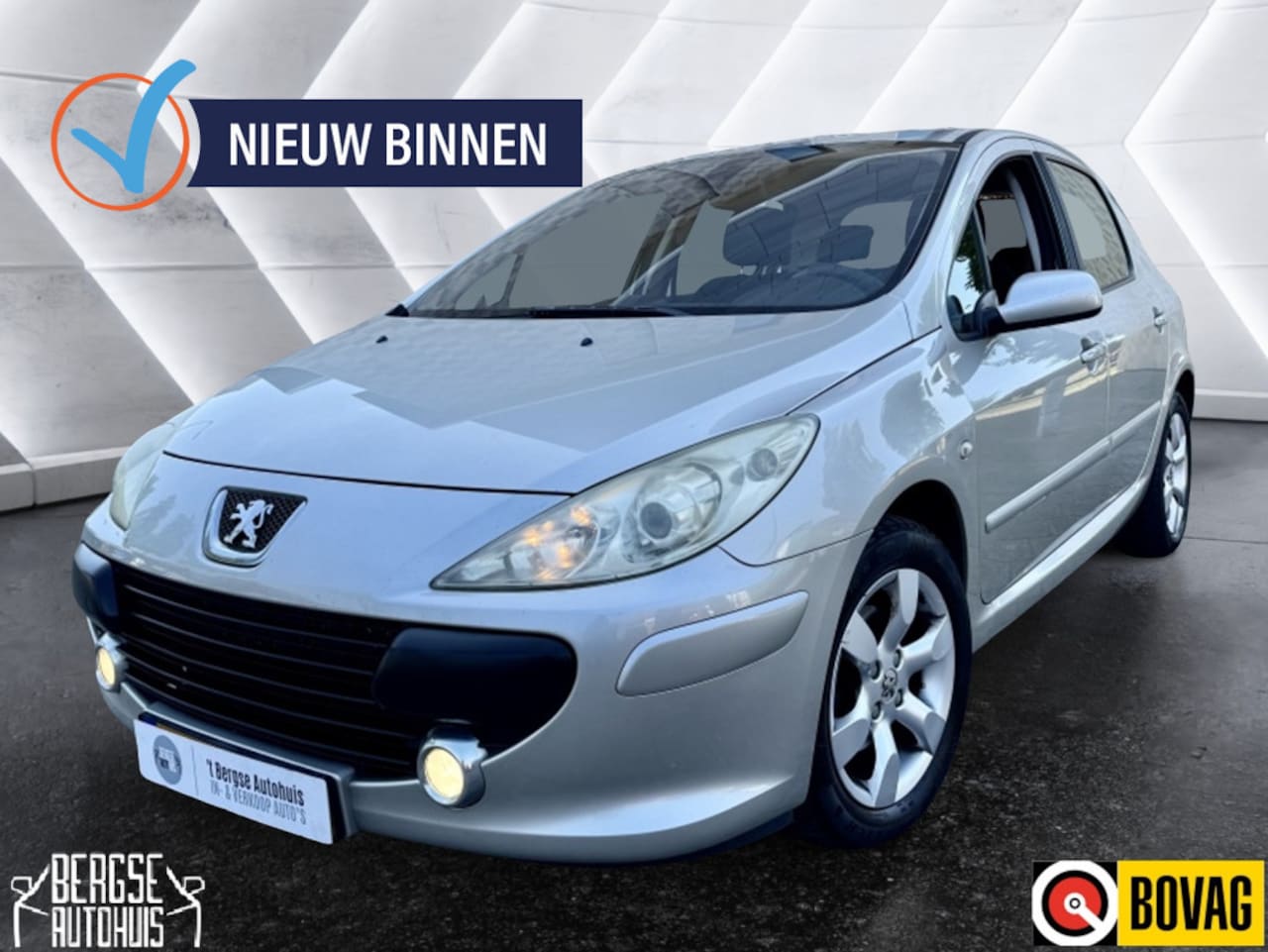 Peugeot 307 - 2.0 16V XS Ecc Cruise Lmv Usb Trekhaak - AutoWereld.nl