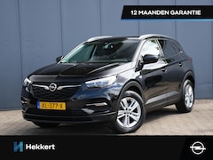Opel Grandland X - Business + 1.2 Turbo 130pk DAB | PDC + CAM. | 17''LM | CRUISE.C | APPLE-CARPLAY | NAVI | C