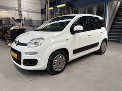 Fiat Panda - TwinAir 60PK Edizione Cool