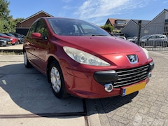 Peugeot 307 - 1.4-16V XS. 152.278 Km