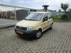 Fiat Panda - 1.2 Actual