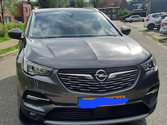 Opel Grandland X - 1.2 Turbo Innovation Eccotex 18 insch velgen en trekhaak