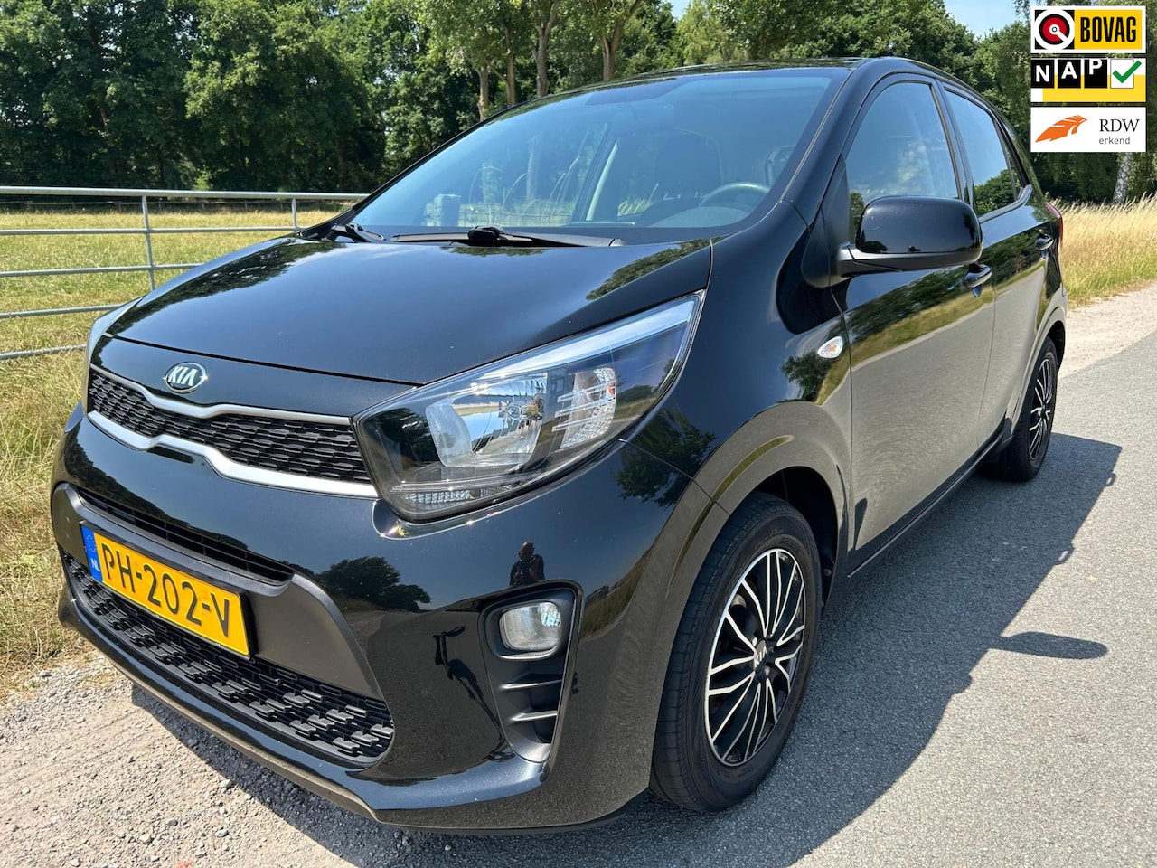 Kia Picanto - 1.0 CVVT EconomyPlusLine dealer onderhouden zeer mooi - AutoWereld.nl