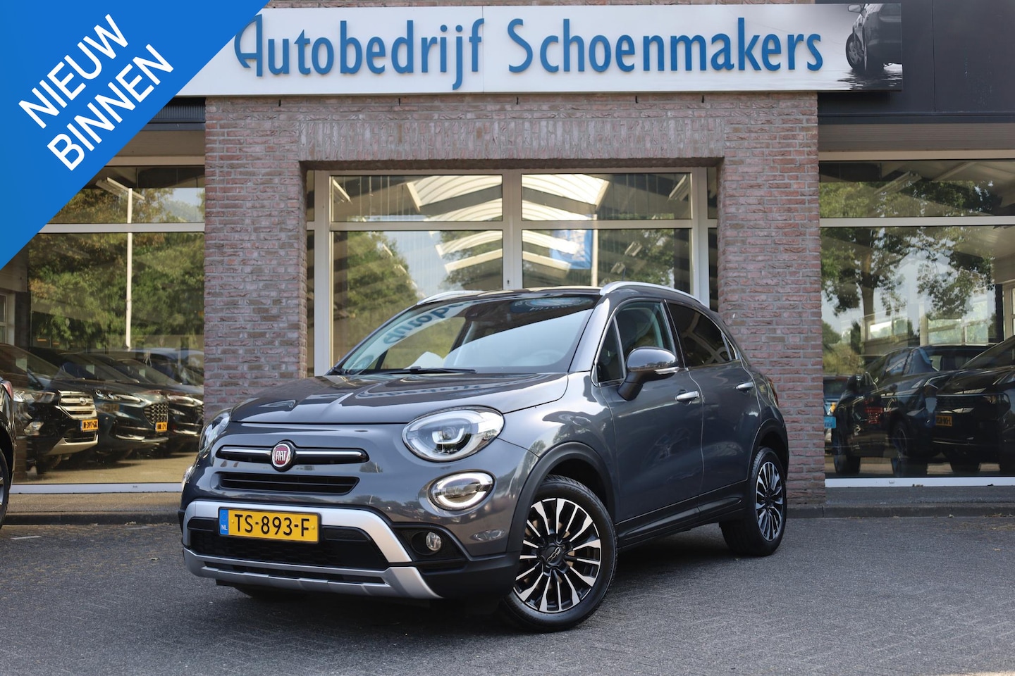 Fiat 500 X Cross - 1.0 GSE City Cross Opening Edition LANE-ASSIST DAB CRUISE CLIMA NAVI BT-TELEFOONVERB. PDC - AutoWereld.nl