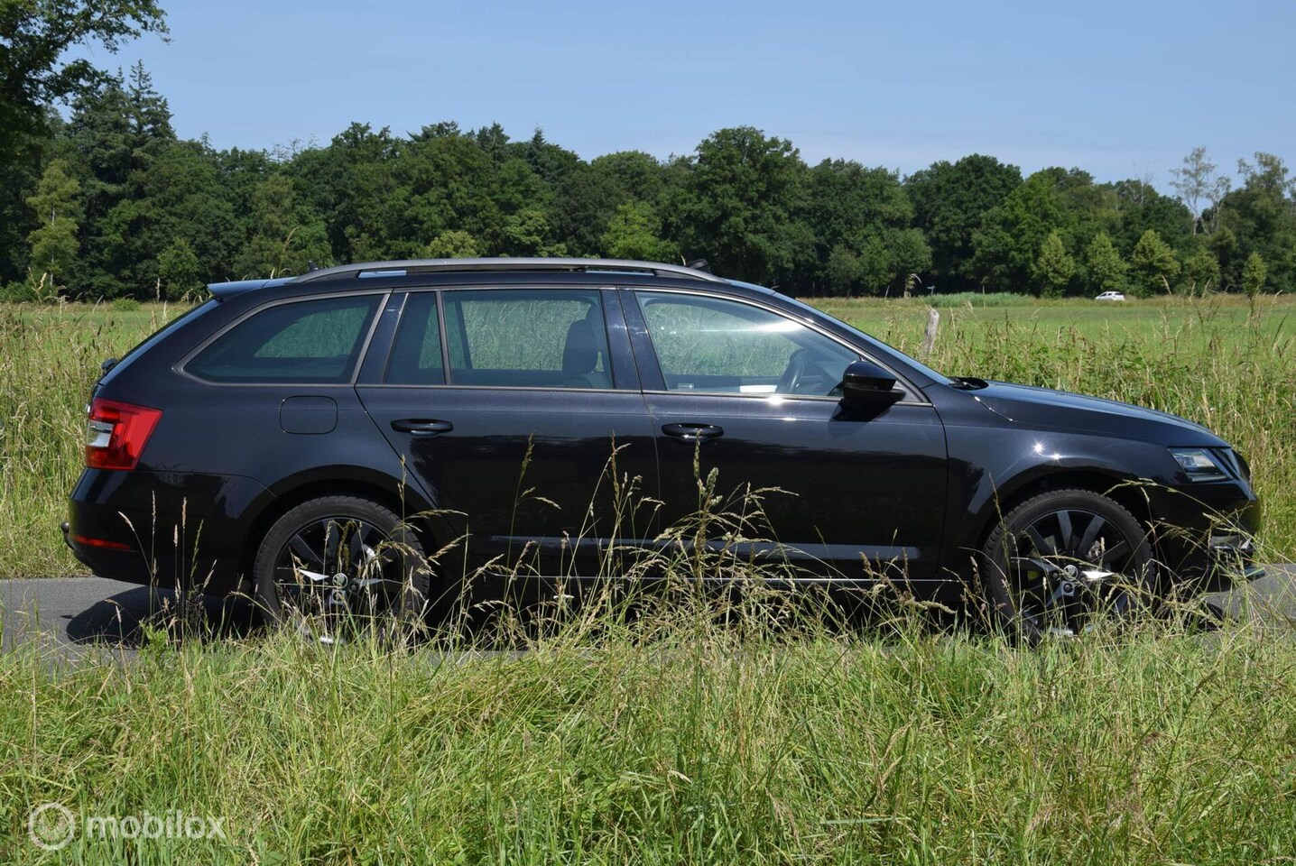 Skoda Octavia Combi - 1.5 TSI Greentech Business Edition Trekhaak Panoramadak Apple Carplay