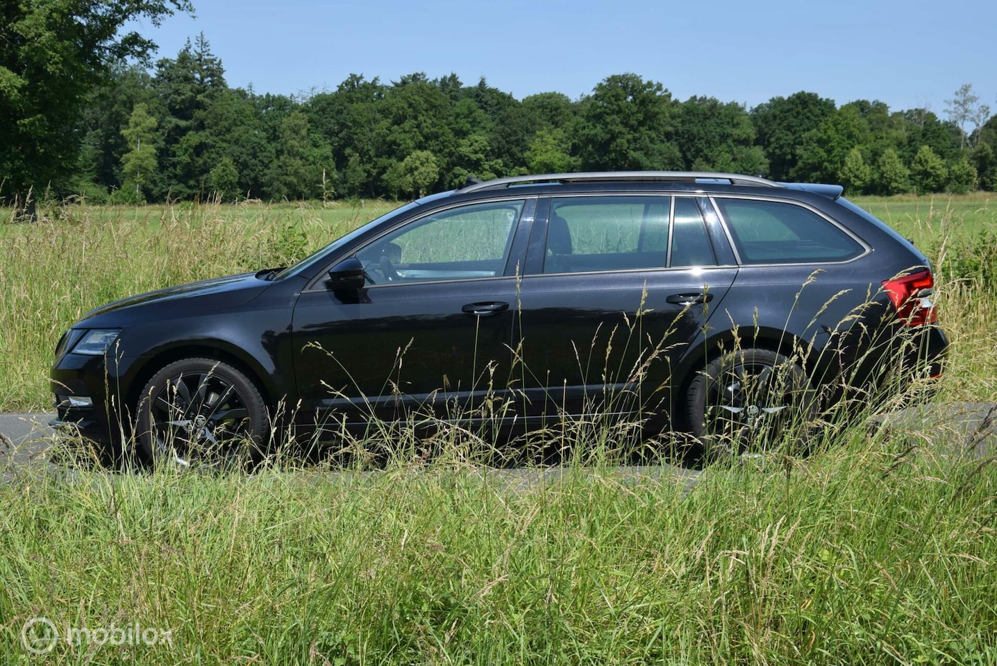 Skoda Octavia Combi - 1.5 TSI Greentech Business Edition Trekhaak Panoramadak Apple Carplay