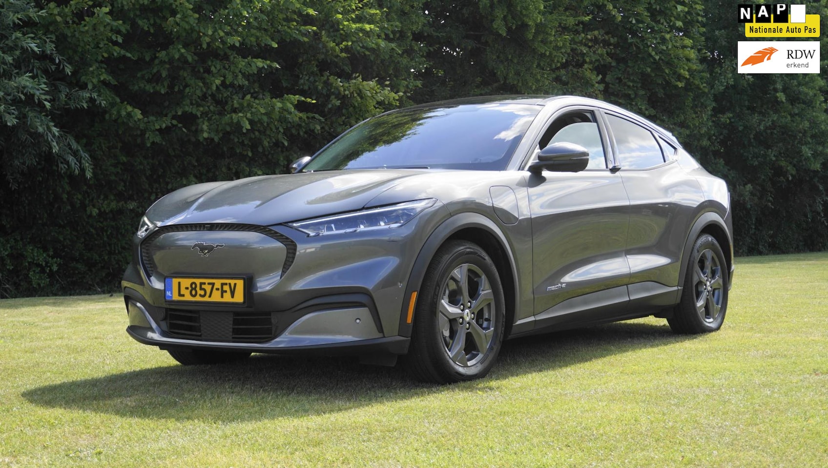 Ford Mustang Mach-E - RWD 75 kWh Panoramadak - AutoWereld.nl