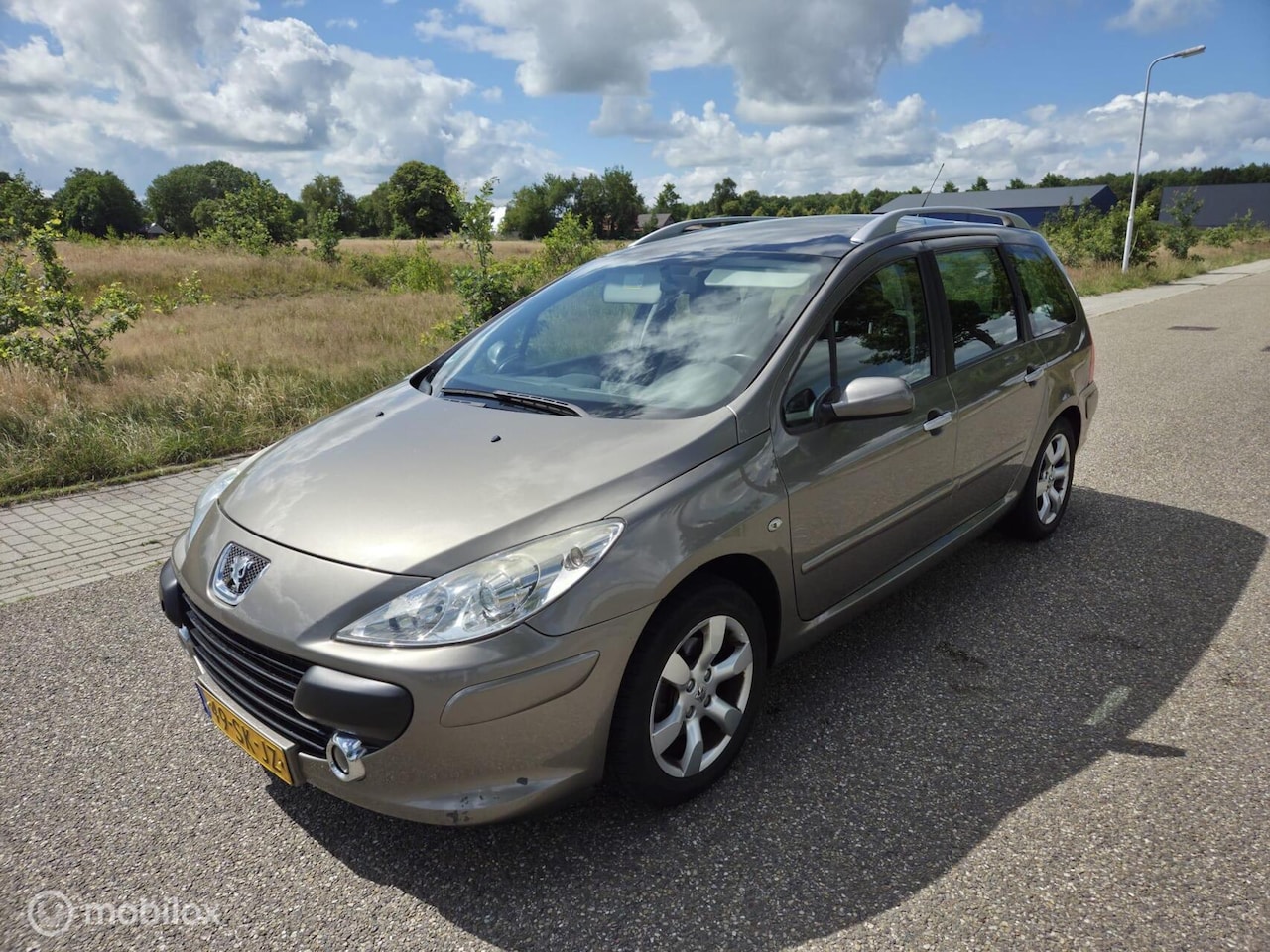 Peugeot 307 SW - 2.0-16V Pack Automaat Clima Cruise LPG G3 - AutoWereld.nl
