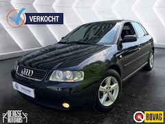 Audi A3 - 1.8 5V Attraction Ecc Cruise Inruilknaller