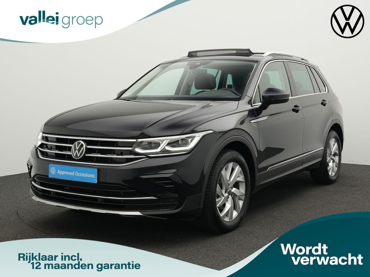 Volkswagen Tiguan - 1.5 TSI 150 pk DSG Elegance | Panoramadak | IQ Light | Stuur-/stoelverwarming | Achteruitr - AutoWereld.nl