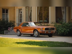 Ford Mustang - Mustang 289