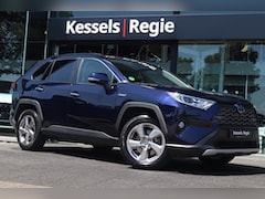 Toyota RAV4 - 2.5 Hybrid AWD Executive Leer Navi Led 360 Camera