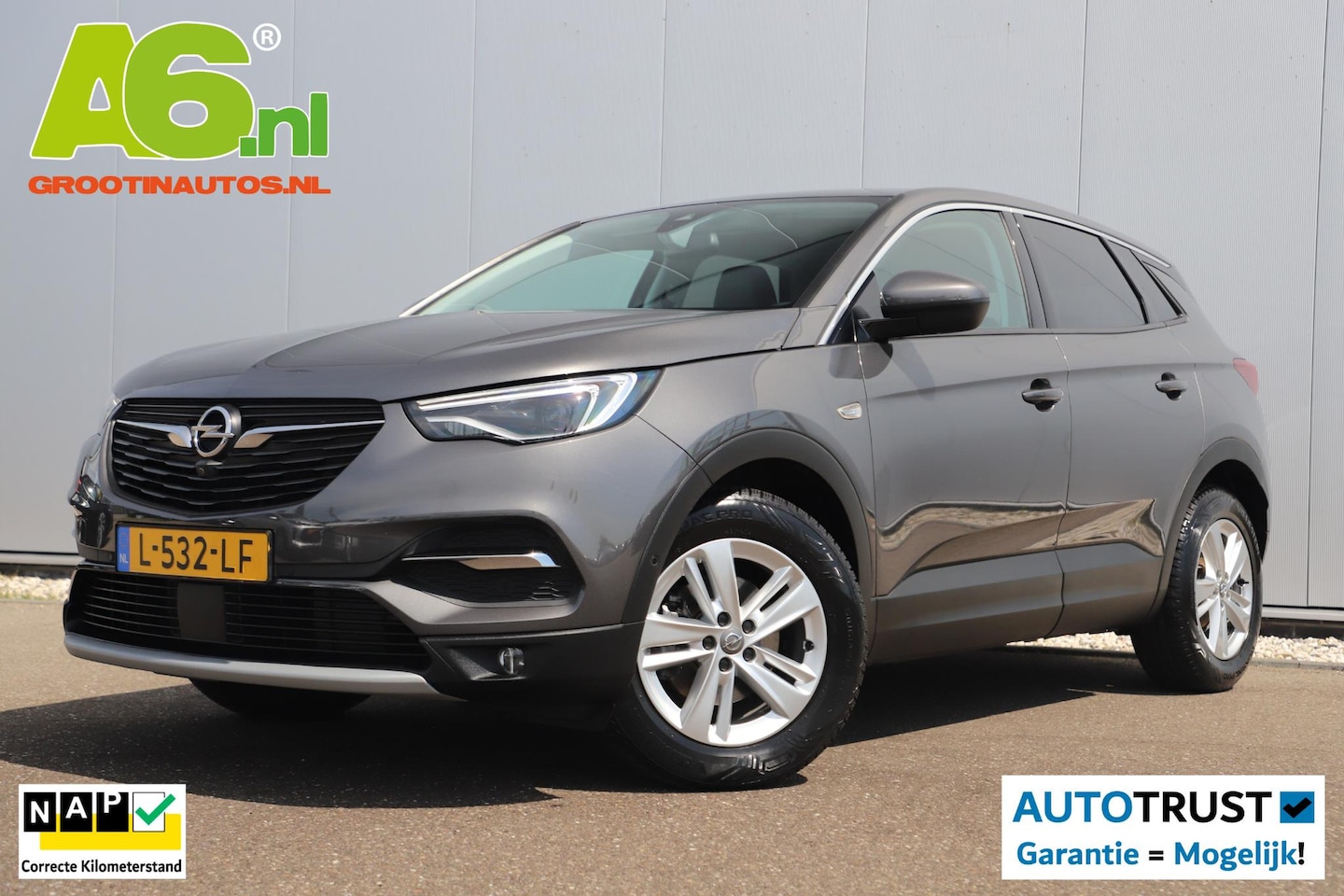 Opel Grandland X - 1.2 Turbo Business Elegance 131PK Trekhaak Navigatie Achteruitrijcamera Clima Cruise Rijst - AutoWereld.nl