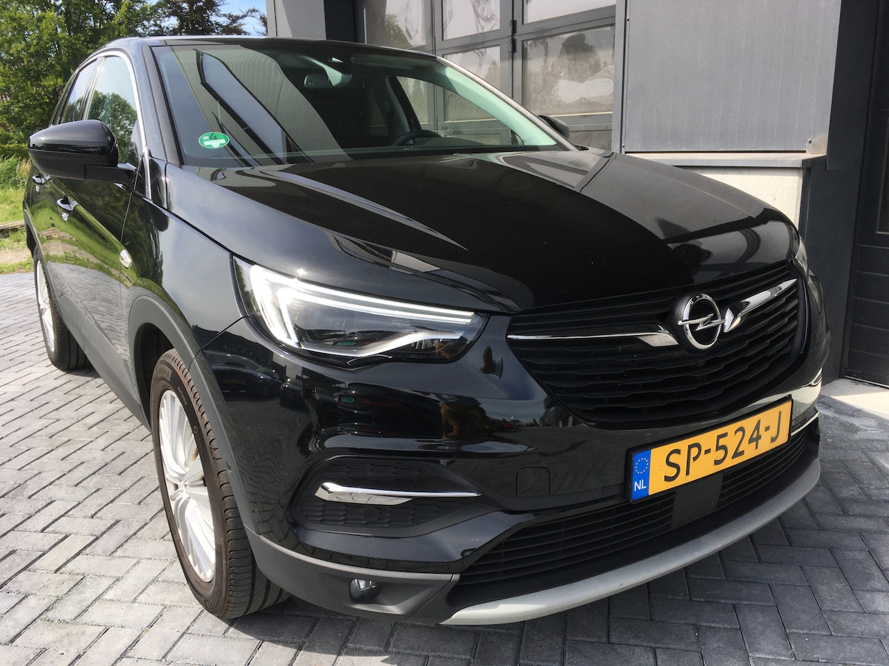 Opel Grandland X - 1.2 Turbo Business Executive 1.2 Turbo Business Executive - AutoWereld.nl