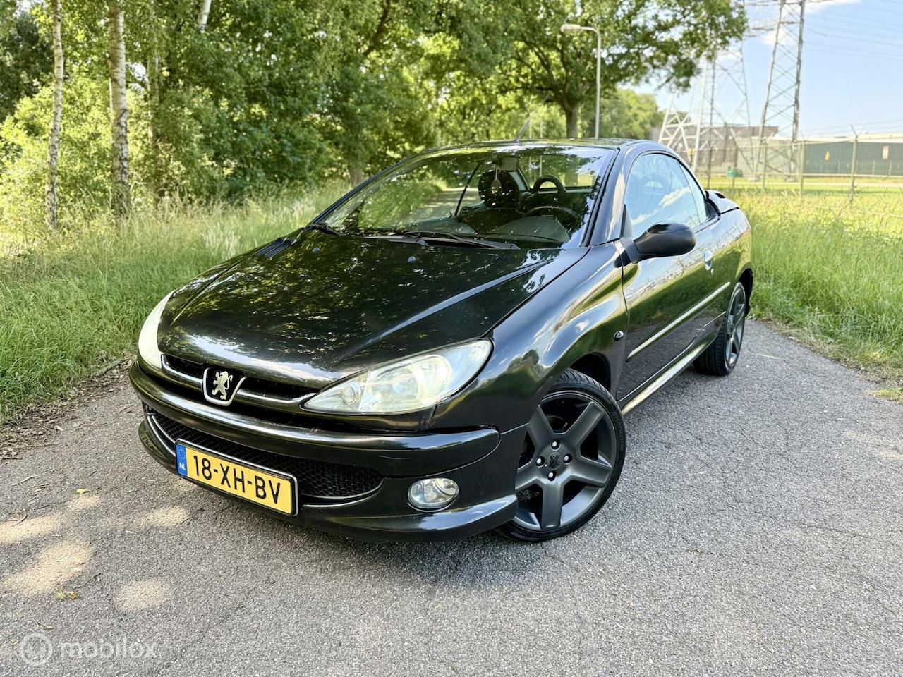 Peugeot 206 CC - 1.6 Clima Elek.r 17” ✔️ - AutoWereld.nl