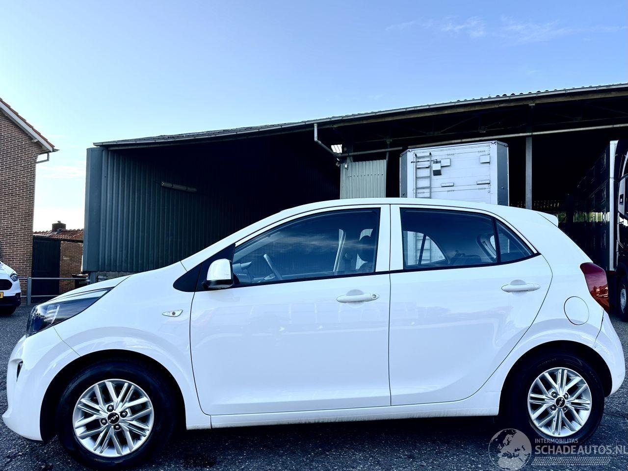 Kia Picanto - 1.0 DPi 67pk DynamicLine 5drs - 49dkm nap - camera - airco - lichtsensor - cruise - apple - AutoWereld.nl