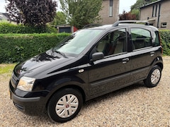 Fiat Panda - 1.2 Edizione Cool