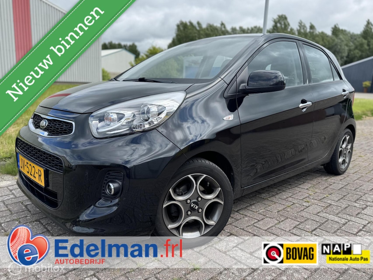 Kia Picanto - 1.0 CVVT 5 DRS Colorline | NAP | CRUISE | CLIMA - AutoWereld.nl