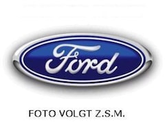 Ford Fiesta - 1.0 EcoBoost Titanium Navi Camera Voorruitverwarming Parking pack All Season banden 5drs