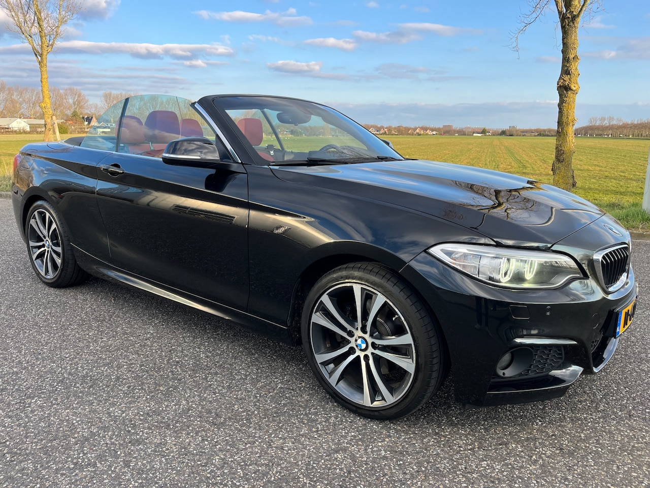 BMW 2-serie Cabrio - 228i Centennial High Executive Cabrio | Uitmuntende staat | BOMvol opties - AutoWereld.nl