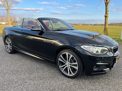 BMW 2-serie Cabrio - 228i Centennial High Executive Cabrio | Uitmuntende staat | BOMvol opties