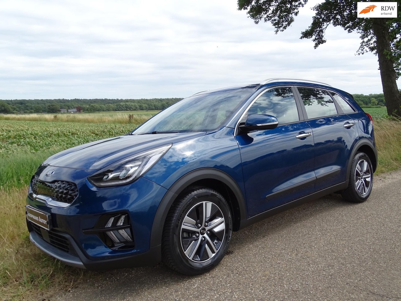 Kia Niro - 1.6 GDi Hybrid DynamicPlusLine 1.6 GDi Hybrid DynamicPlusLine - AutoWereld.nl