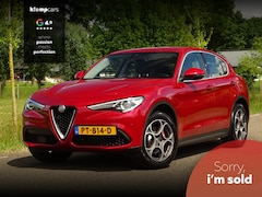Alfa Romeo Stelvio - 2.0 T AWD | Rosso Comp.8C | Trekh. | Flippers | All wheater | Camera
