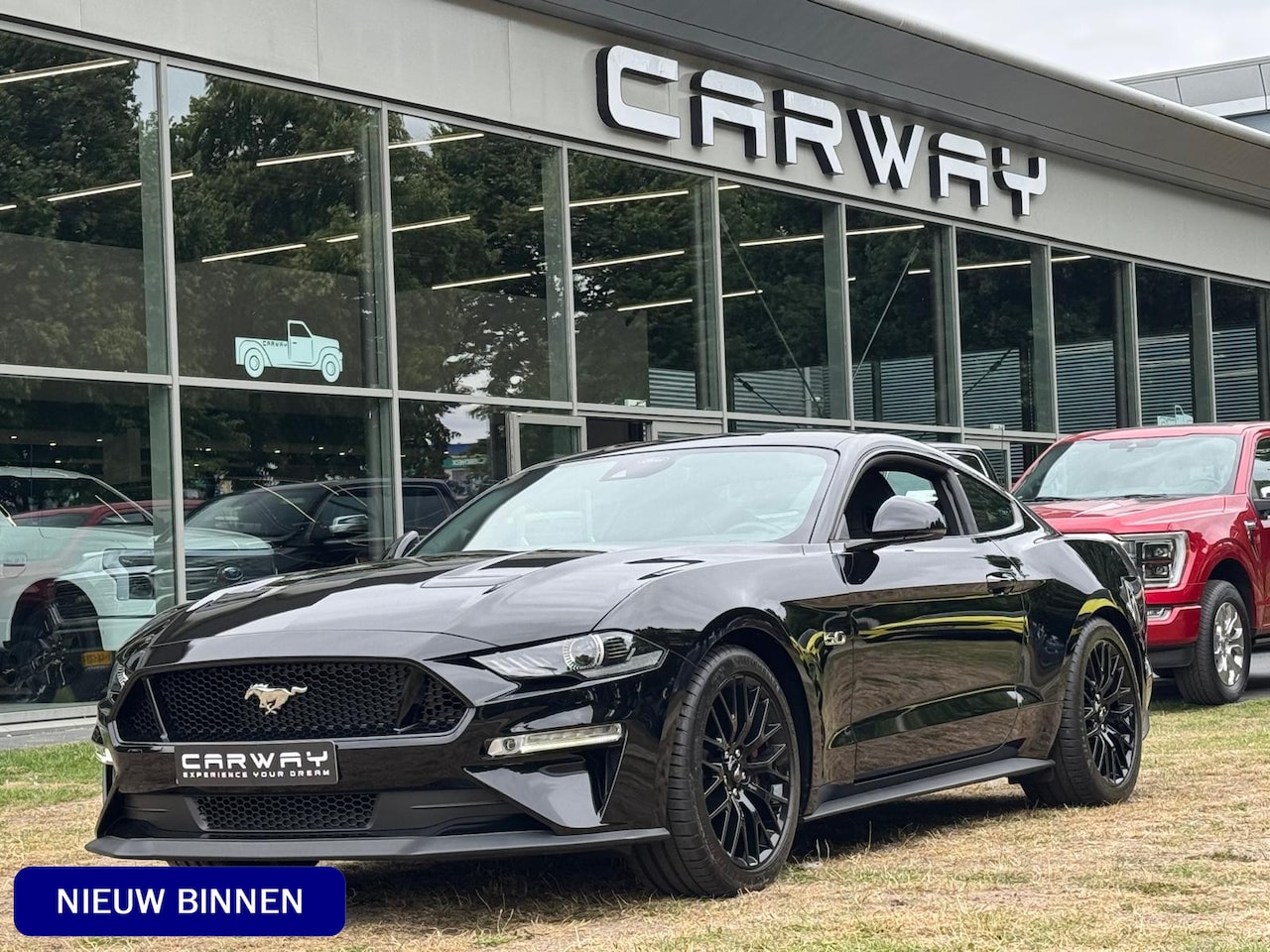 Ford Mustang Fastback - 5.0 V8 GT Recaro, Magneride, Performance pkg EU-AUTO - AutoWereld.nl