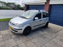 Fiat Panda - 1.2 Edizione Cool