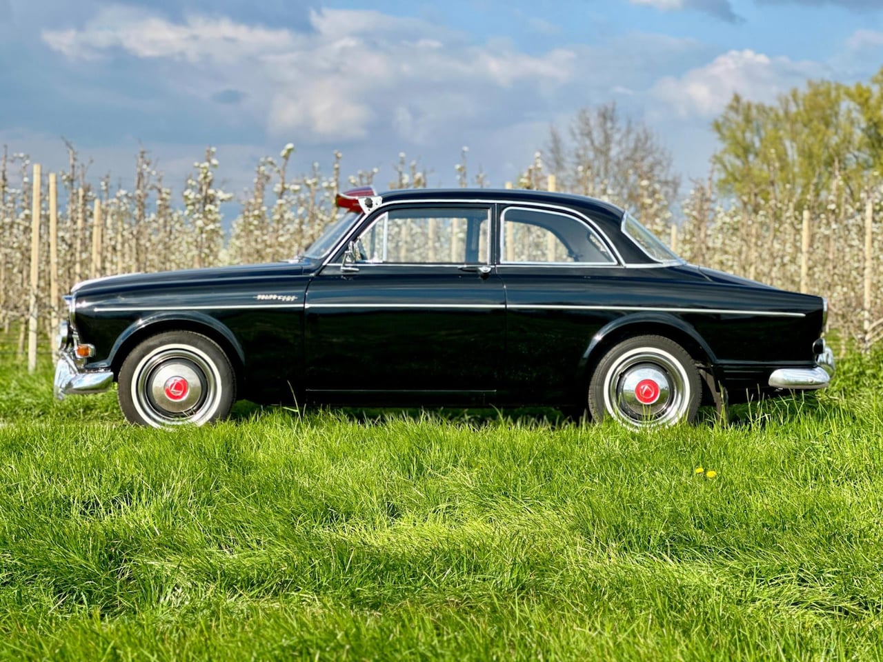 Volvo Amazon - Vroeg type, B18A, bijzonder model - AutoWereld.nl